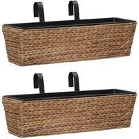 Garden Planters 2 pcs Water Hyacinth