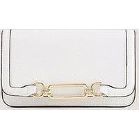 Fiorelli Emilia Hardware Clutch Bag
