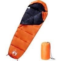 Mummy Sleeping Bag for Adults Camping 3 Seasons