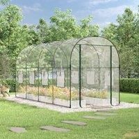 Greenhouse Transparent 160x400x190 cm PVC&Powder-coated Steel