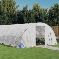 Greenhouse with Steel Frame White 48 m£ 12x4x2 m