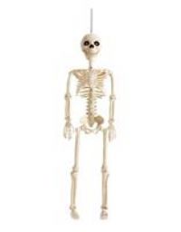 Argos Home Animated Skeleton