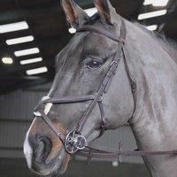 Ready-To-Ride Mexican Bridle, Black