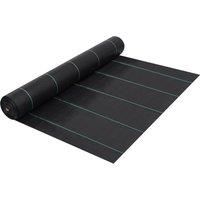 Weed & Root Control Mat Black 2x100 m PP