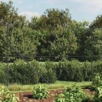 Chain Link Fence with Spike Anchors Anthracite 1.8x10 m