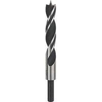 Bosch Professional Brad Point Drill Bit (for Wood, Ø 16 x 105 x 160 mm, Accessories Rotary Drills)