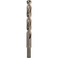 Bosch Professional HSS-Co Metal Drill Bit (stainless steel, 12.5 x 101 x 151 mm, accessory drill driver)