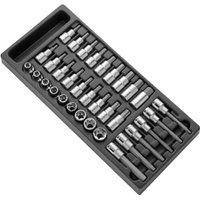 EXPERT E032922 - Module for Torx® 1/2" Metric - Pack of 33