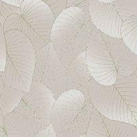 Muriva Ltd Muriva Dendron Leaf Taupe Wallpaper, Cream