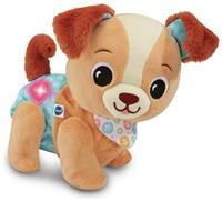 VTech Baby Walk & Wag Puppy, Interactive Musical Toy, Promotes Sensory Development, Language Development, Motor Skills, Suitable for Ages 9, 12, 18 Months Plus, English Version
