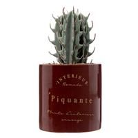 Atmosphera Bota Artificial Cactus in Ceramic Pot