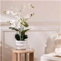 Atmosphera Mick Artificial Orchid Plant