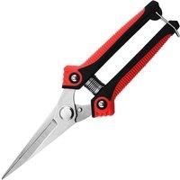 Stainless Steel Pruning Shears Sharp Branch Scissors with Non Slip Handle for Garden Fruit Tree Trimming Tools