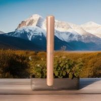 L’Oréal Le Shadow Stick Eyeshadow 115 Twinkly Rose Sealed *New*