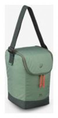 Decathlon Ice Cooler 100 Compact 10L Green