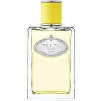 Prada Infusion D