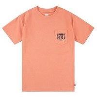Levi'S Boys Canyon Landscape Short Sleeve T-Shirt - Orange