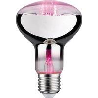 Paulmann 28733 LED lamp Plant Light 6.5 watts lamp Growth Lighting 1300 K E27, Grow Light