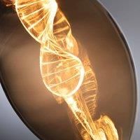 Paulmann 28884 LED Light Bulb Inner Glow Edition B75 180 lm Gold 3.5 Watt Light Bulb 1800 K E27