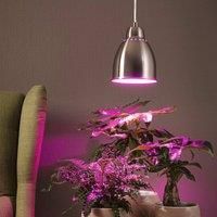 Paulmann Neordic Hilla hanging light, brushed iron