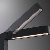 Paulmann Plug & Shine Ito path lamp vertical