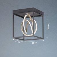 Fischer & Honsel Ceiling Light, Gisi, Black, matt, Gold, Length: 25.00 cm, Width: 25.00 cm, excl. Ceiling: 29.00 cm, Remote Control, CCT, dimmable, stepless, 1 x LED 15.0 watt, 2700/6500 lm, 1900 lm,