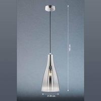 Fischer & Honsel Zeal Pendant Light E27 Socket Max. 60 Watt Pendant Light Metal and Glass Chrome Colour Mirrored to Clear Ceiling Projection 140 cm Diameter 23 cm
