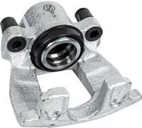 Pagid Caliper