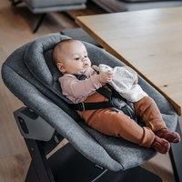 hauck Alpha Bouncer Premium, Dark Grey - Baby Seat for Alpha+ Wooden Highchair with 5-Point Harness, Bouncing Frame & Seat Reducer, from Birth up to 9 kg