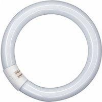 Osram Fluorescent Tube T9 L 22W 865 C G10q Ringfrom Lumilux Daylight 22W/11-765