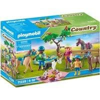 Playmobil Picnic Adventure with Horses