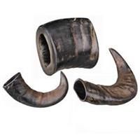 Trixie Genuine Buffalo Chewing Horn for Dogs, Large