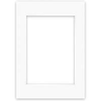 Nielsen Conservation White Picture Mount