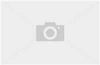 Sachs Shock Absorber Front Axle For Bmw 556834 Automotive Replacement Part