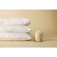 Die Zudecke 100% Canadian Goose Down Pillow White Kingsize