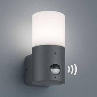 Trio Lighting Small Hoosic outdoor wall light, motion detector