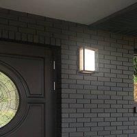 Trio Lighting LED outdoor wall light Witham, IP54, CCT, anthracite