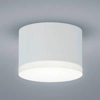 Helestra Pala - cylindrical LED downlight, white