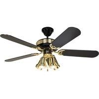Black Magic ceiling fan with light