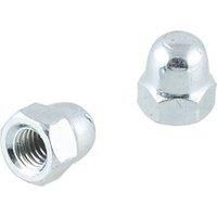 Easyfix Carbon Steel Dome Nuts M5 100 Pack (938GX)