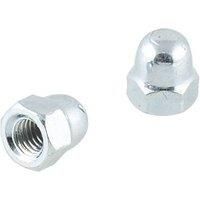 Easyfix Carbon Steel Dome Nuts M6 100 Pack (450GX)