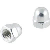 Easyfix Carbon Steel Dome Nuts M8 100 Pack (826GX)
