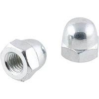 Easyfix Carbon Steel Dome Nuts M10 100 Pack (153GX)