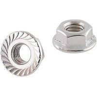 Easyfix A2 Stainless Steel Flange Head Nuts M6 100 Pack (441GX)