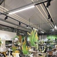 Deko-Light LED track lamp LINEAR PRO black 930 60 cm 3-phase DALI