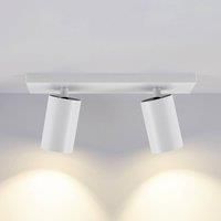 Deko-Light CAN TILT downlight, white, 31 x 9 cm, 2-bulb, metal GU10