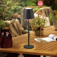 JUST LIGHT. Euria LED table lamp, black, iron IP54