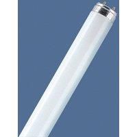 G13 T8 58W 840 fluorescent bulb LUMILUX