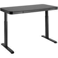 TecTake 404316 desk | Electrically height-adjustable computer table | Ergonomic sit stand home & office PC desk