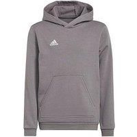 adidas Unisex Kids Entrada 22 Sweat Hoodie, Team Grey Four, 7-8 Years